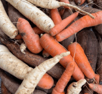 {{brizy_dc_image_alt imageSrc=